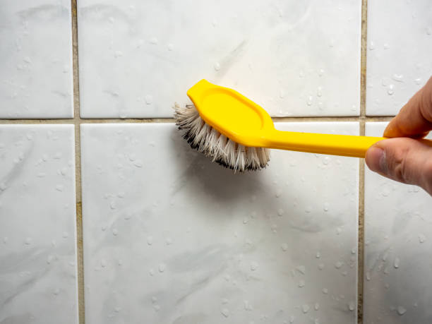 Best Water Damage Restoration  in Springfield, VA