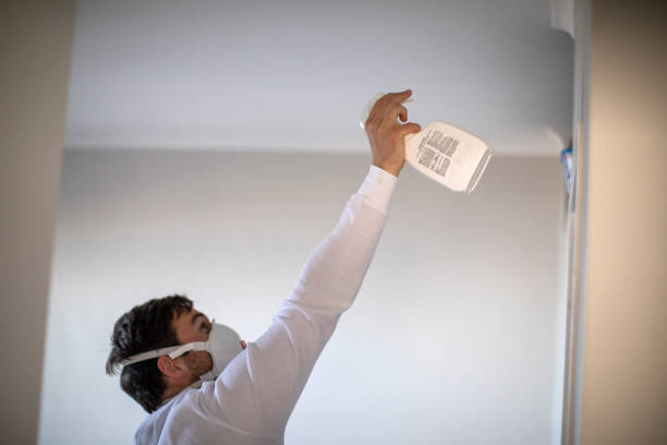 Best Mold Removal Near Me  in Springfield, VA