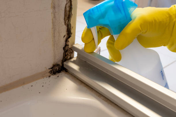 Best Mold Testing  in Springfield, VA